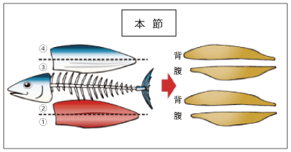 鰹節