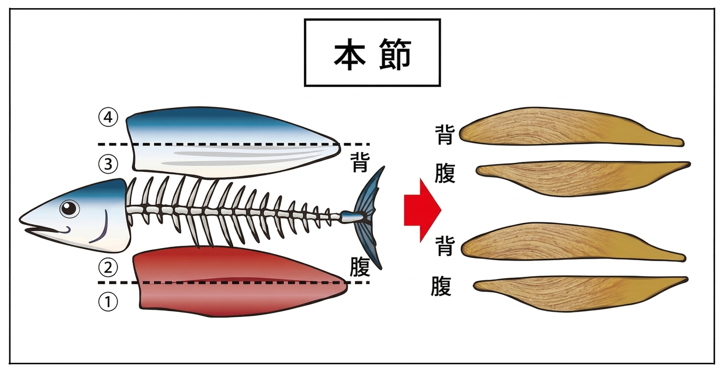 本節解説画像