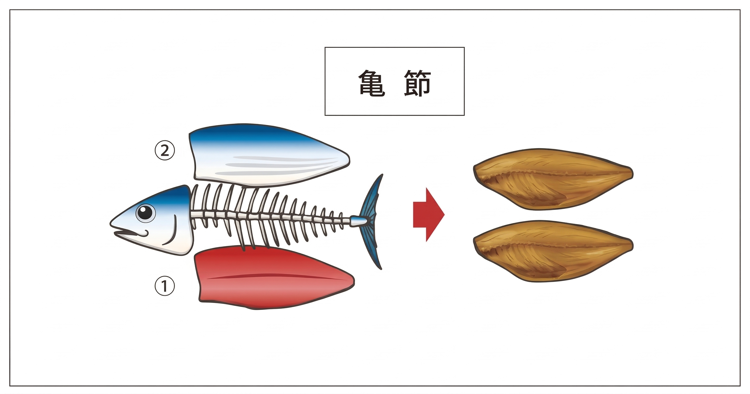 亀節解説画像